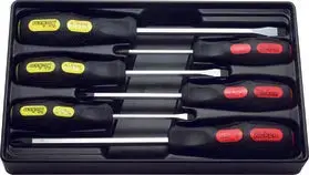 6-Piece Phillips And Slotted Screwdriver Set (Ph1, Ph2, Ph3, Sl5, Sl6, Sl8) With Abs Organizing Tray 1