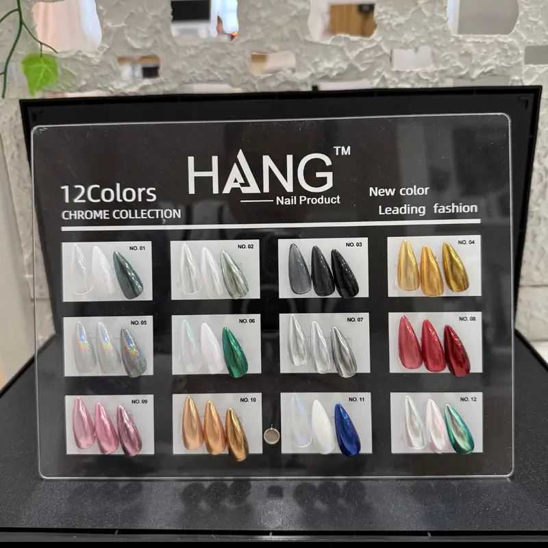 Hang Chrome Effects Nail Powder Set – 12 Leading Colors (#01–#12) + Display Reference Chart 1