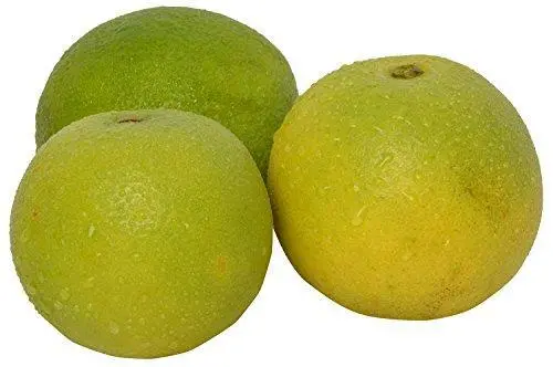 Mosambi (Sweet Lime) – Fresh, 500G 1