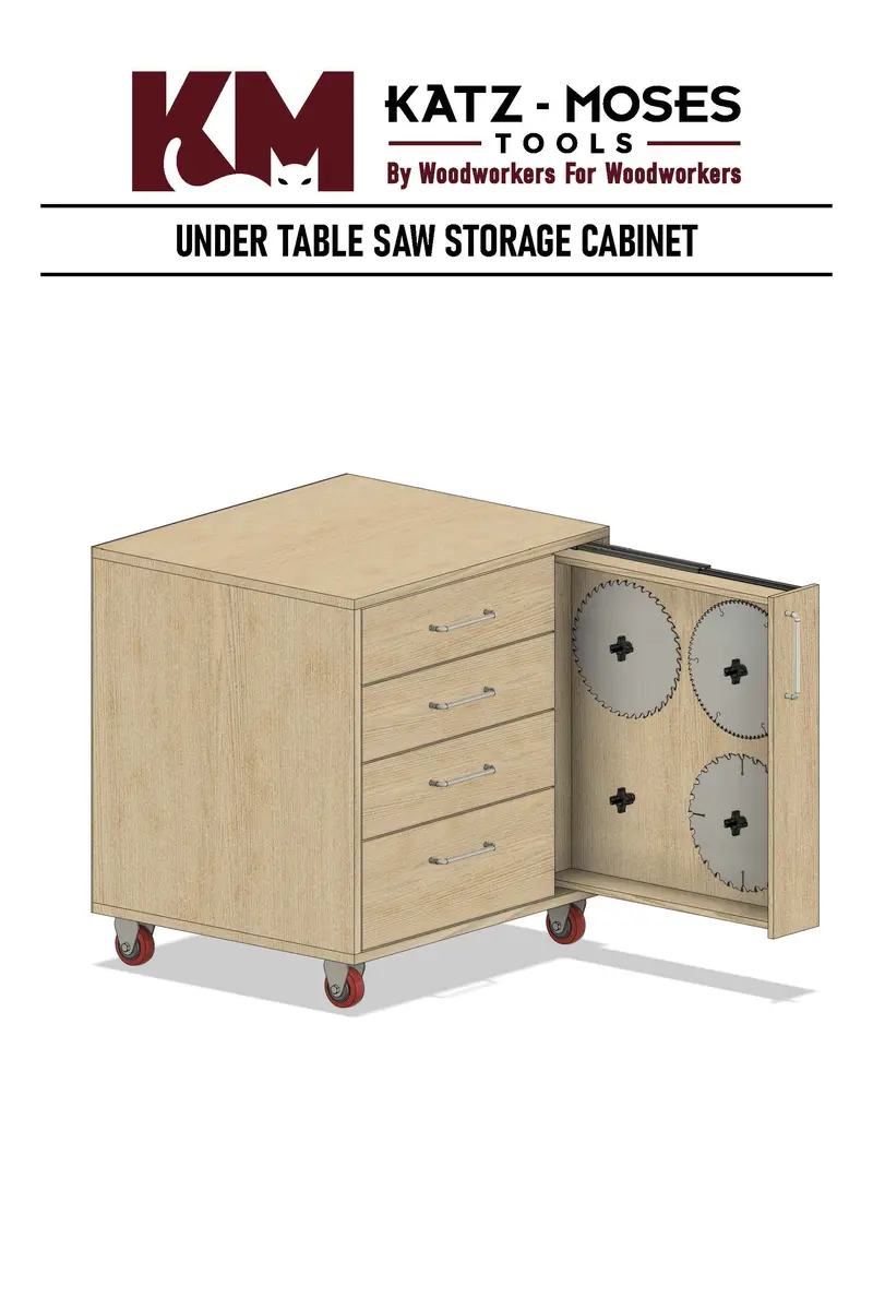 Under-Table Saw Storage Cabinet Workshop Design 1