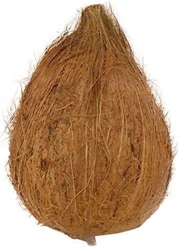 Whole Fresh Coconut – 1 Piece 1