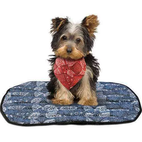 Occunomix 992-Cb4 Large Dog Mat – Blue, 25 Per Case, Cwby Style 1